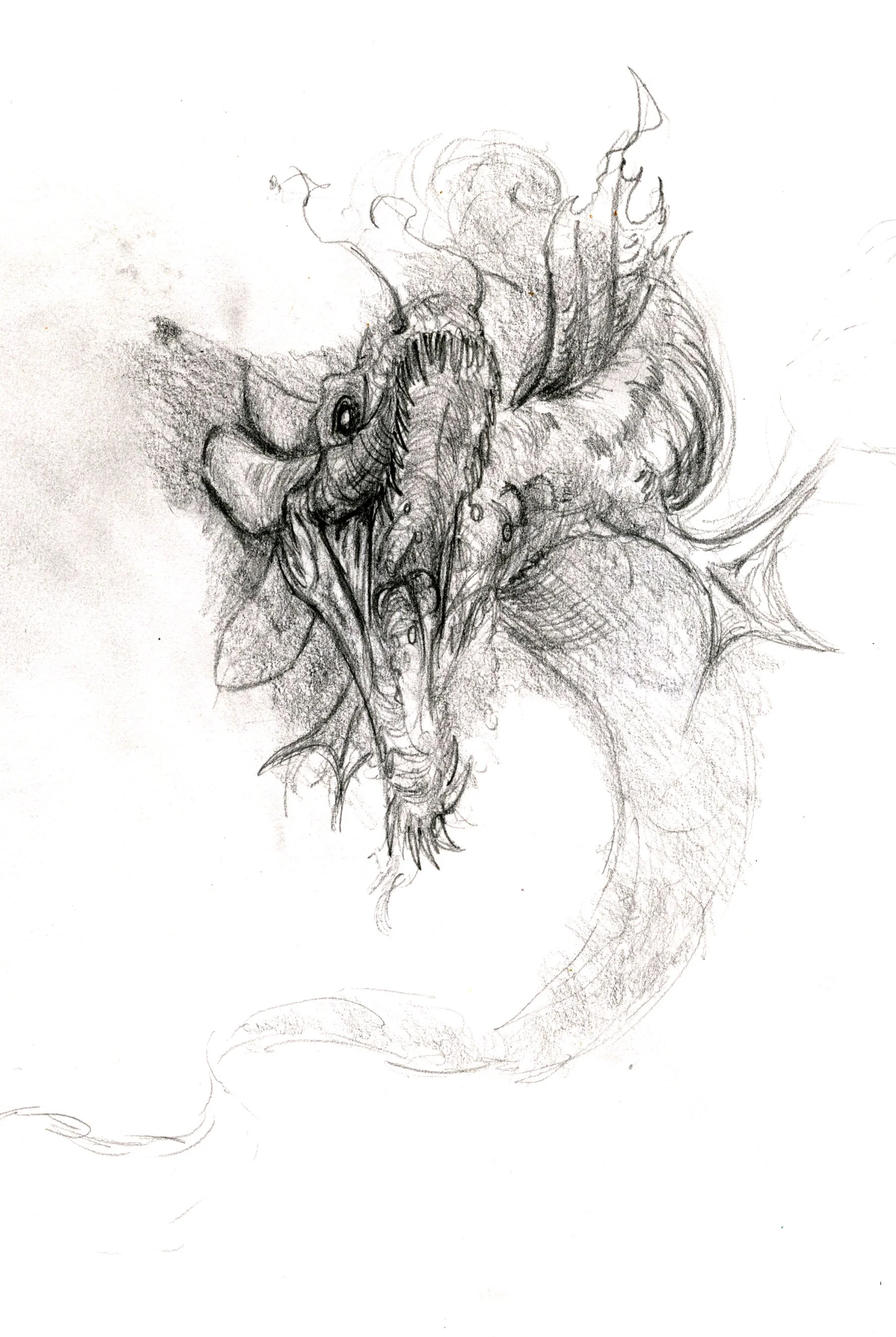 Scan 3.jpg