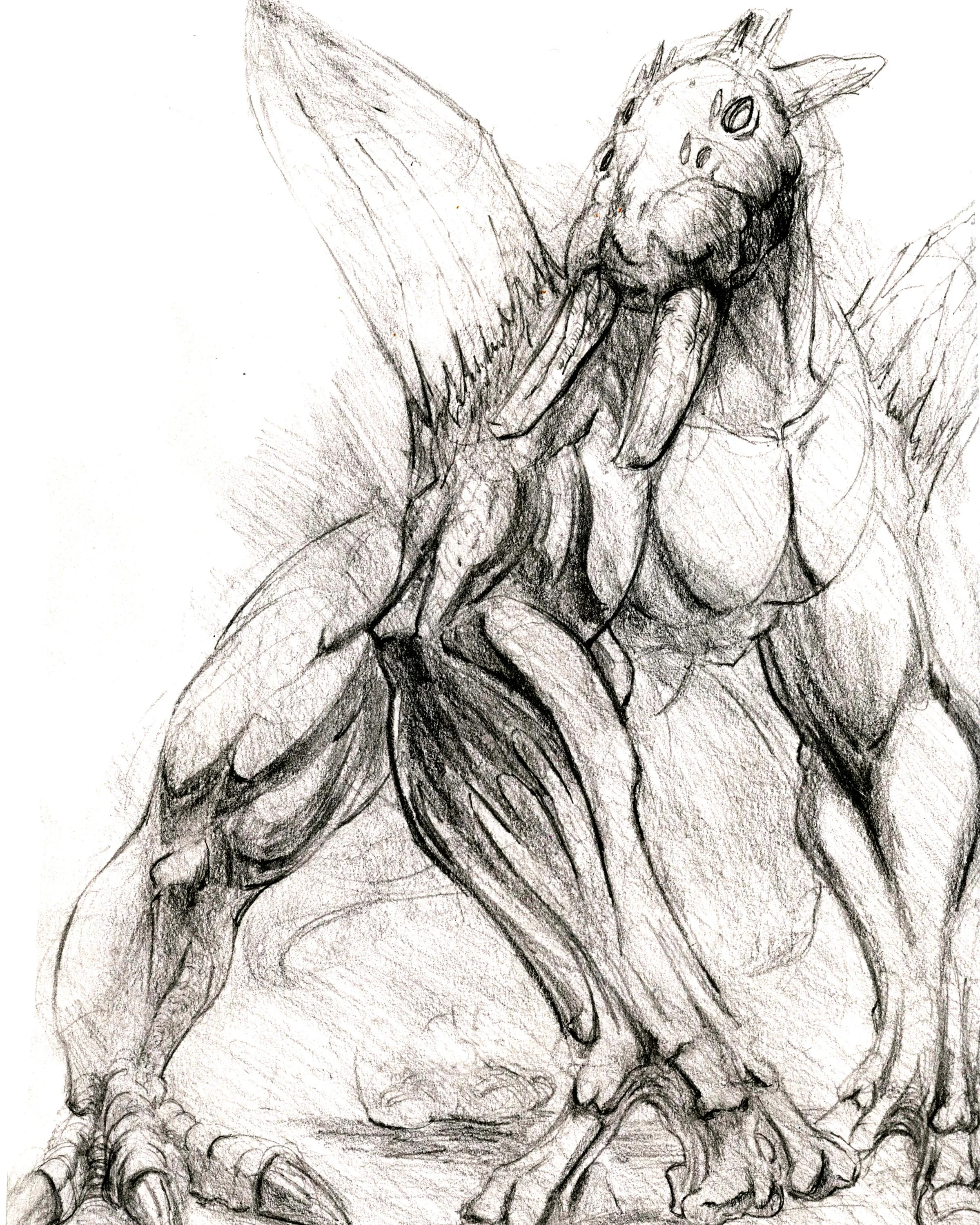 Untitled-1.jpg