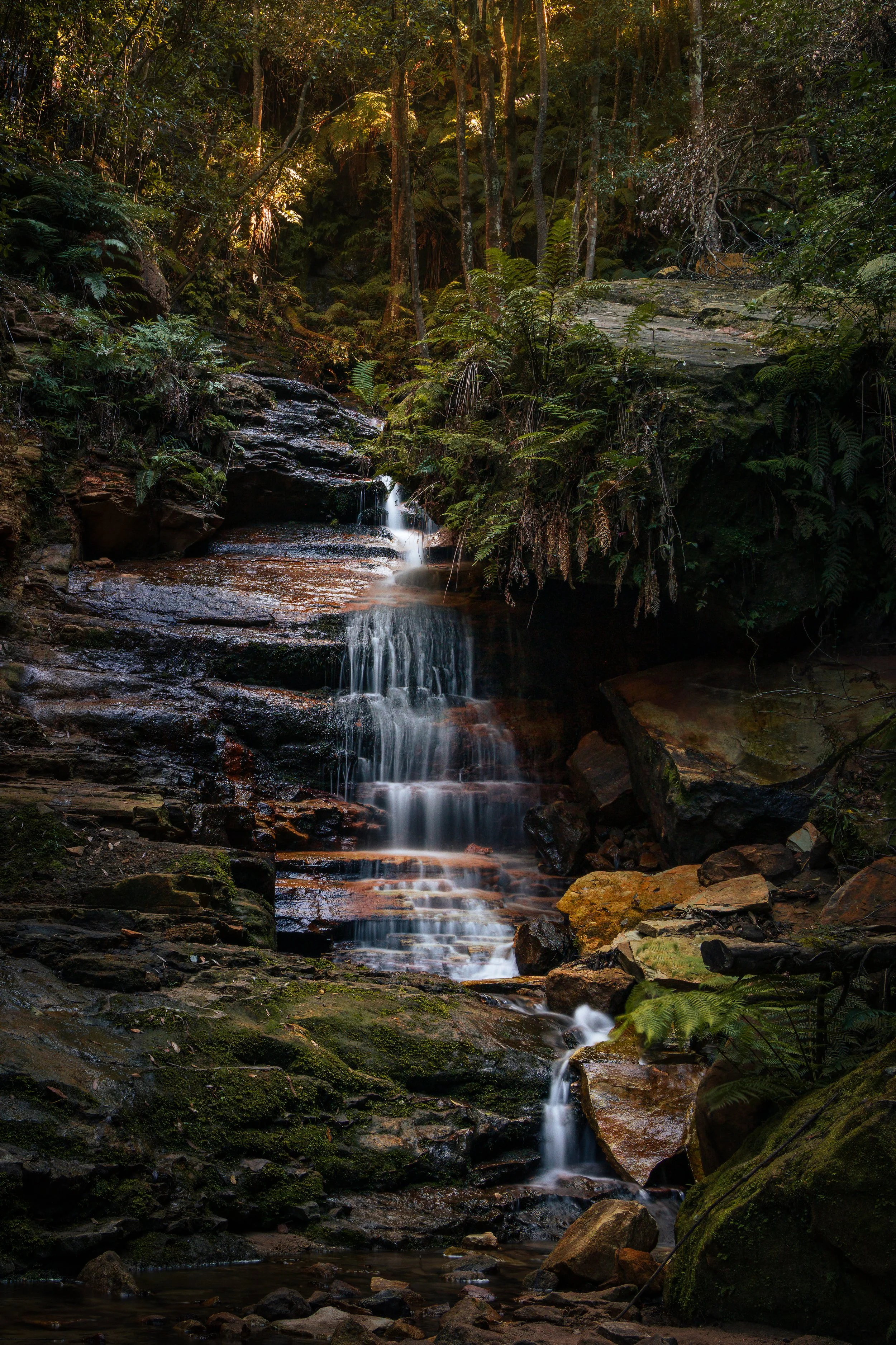 034A7654.jpg