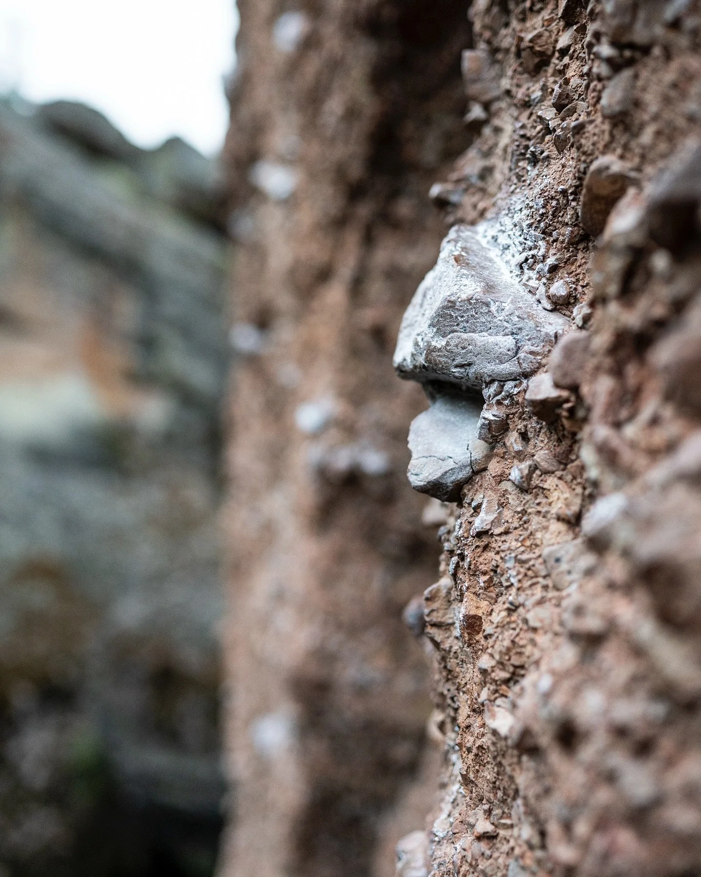 Sometimes a goal is to just go higher. Other times you are hanging on for dear life wondering, how did I get here? Why am I in this beautiful national park? Was that a condor?
Then the climb goes on, and you smile because you are happy.
#pinnaclesnat