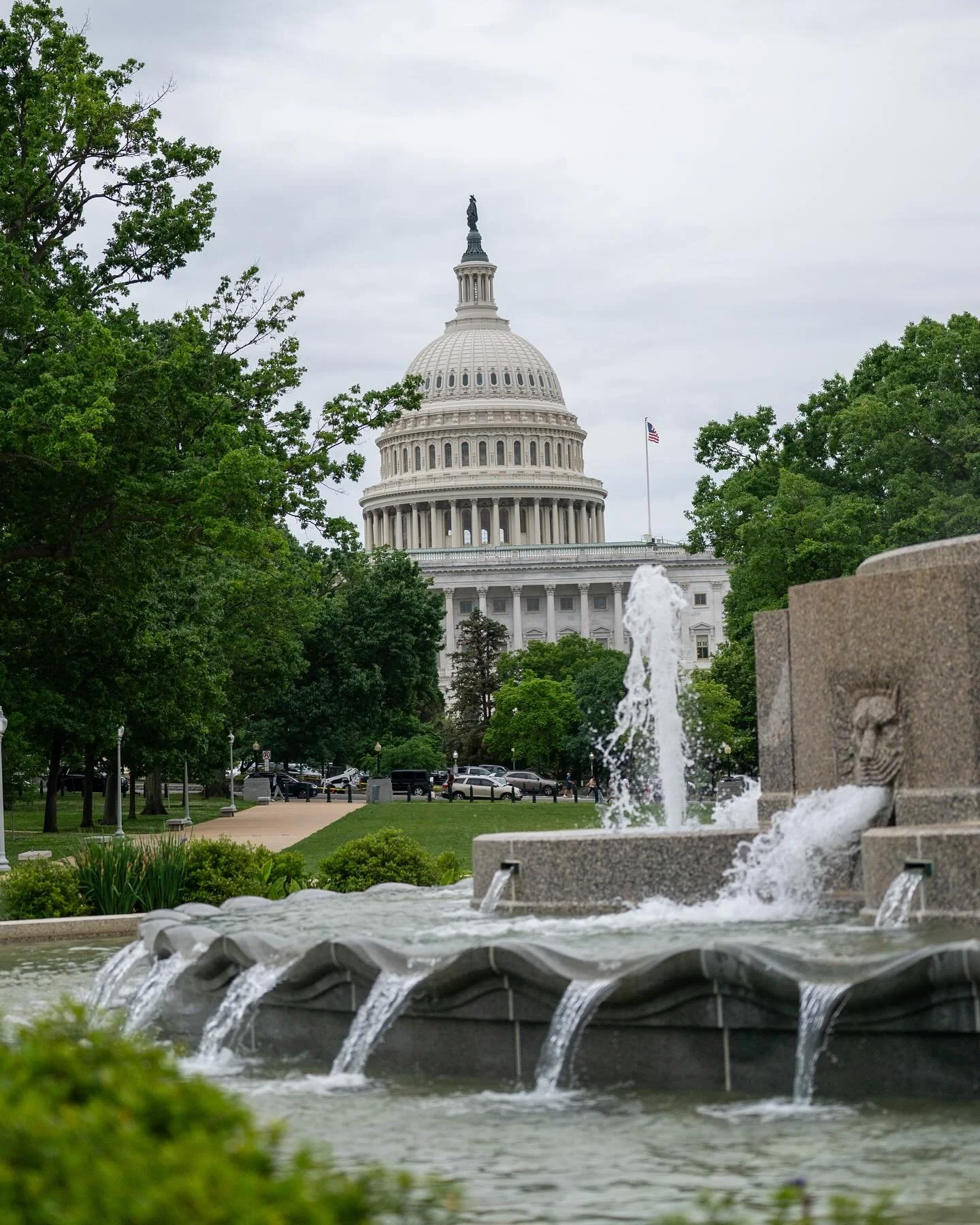In a democracy, dissent is an act of faith.

J. William Fulbright -1966 Speech to the US Senate #uscapitol #washingtondc #democracy #nikonphotography #nikonz