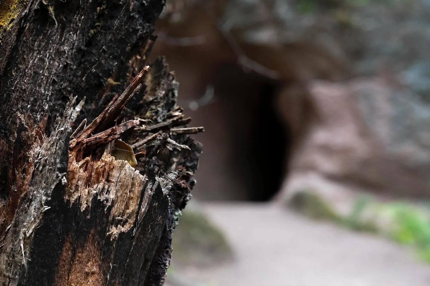 If you feel like you don&rsquo;t fit into the world you inherited it is because you were born to help create a new one.
Ross Caligiur #creativity #imagination #pinnicles #usanationalparks #nikonz