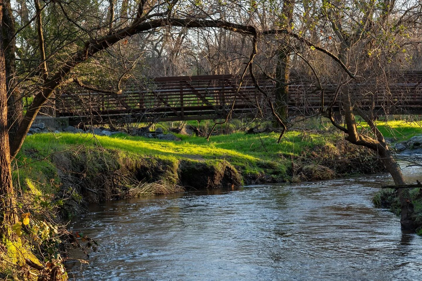 &ldquo;Why are we born needing impossible things? Why is it that we all have things we need to live that simply do not exist in the universe? A purpose in life. Unconditional love? Our emotional needs met? Ha.&rdquo; &mdash; Elizabeth Bear, Machine