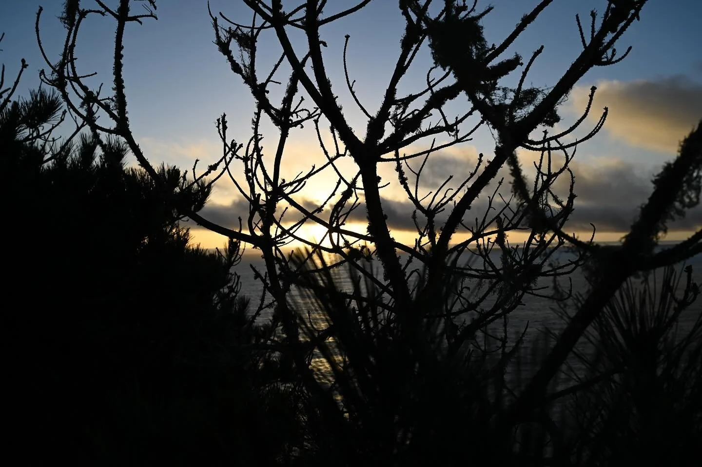 &ldquo;Loneliness adds beauty to life. It puts a special burn on sunsets and makes night air smell better.&rdquo;
― Henry Rollins
#nikonz #califonia #calilife #californiacoast #sunsets #sunsetpic #duskphotography