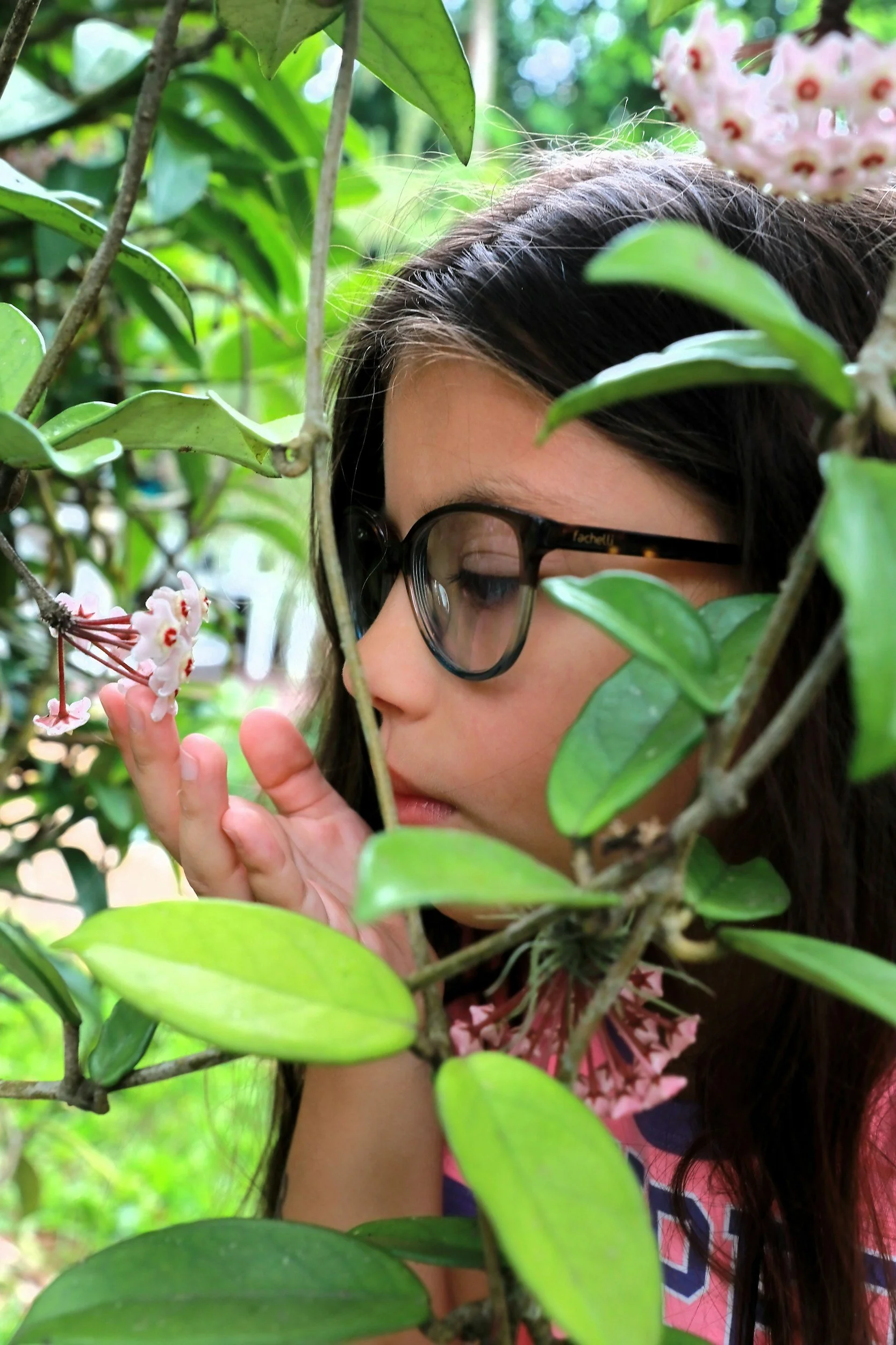 A young girl with long dark hair and glasses, surrounded by green leaves, holds a pink flower close to her face.