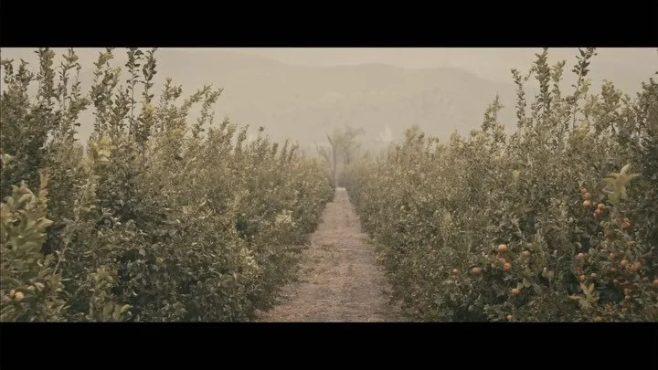 Last moments from a music film directed by Mark Pellington #droneteam #dIpaerials

Director: @markpellington
DP: @roematt
Pilot: @gabedlp
Cam Op: @cowboycameraman