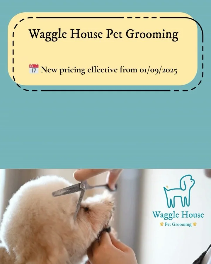 🐾 Important update from Waggle House 🐾

To continue providing the best cage-free, muzzle-free grooming and daycare experience we will be making a small price adjustment from 01/09/2025 

This change reflects rising cost and ensure we can keep offer