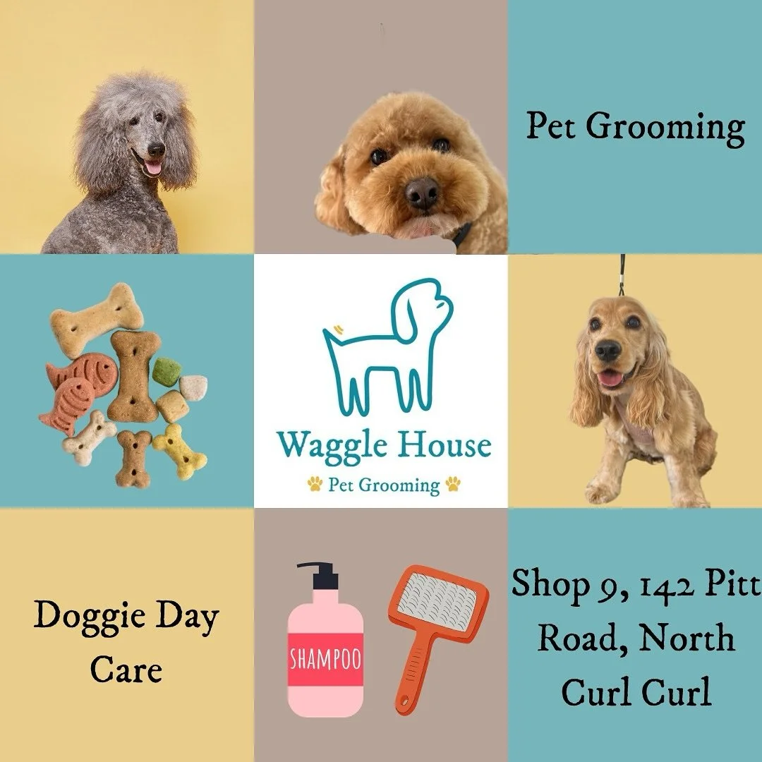 Winter 🥶 ❄️

Waggle House Pet Grooming, is based in the heart of Curly. 

Bring your dog for a day of pawparing and fun!

#dog #dogsofinstagram #doggrooming #northern_beaches #dogpark