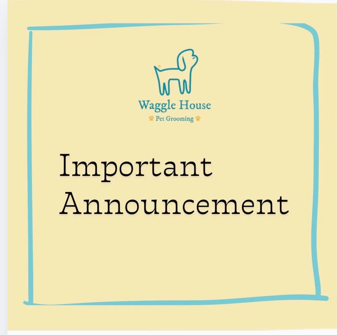 🐾 Dear Waggle House Family,

We wanted to let you know that there will be a small price increase to our grooming and daycare services, effective from April 2026.

This change helps us continue providing the high-quality, cage-free care, time, and at