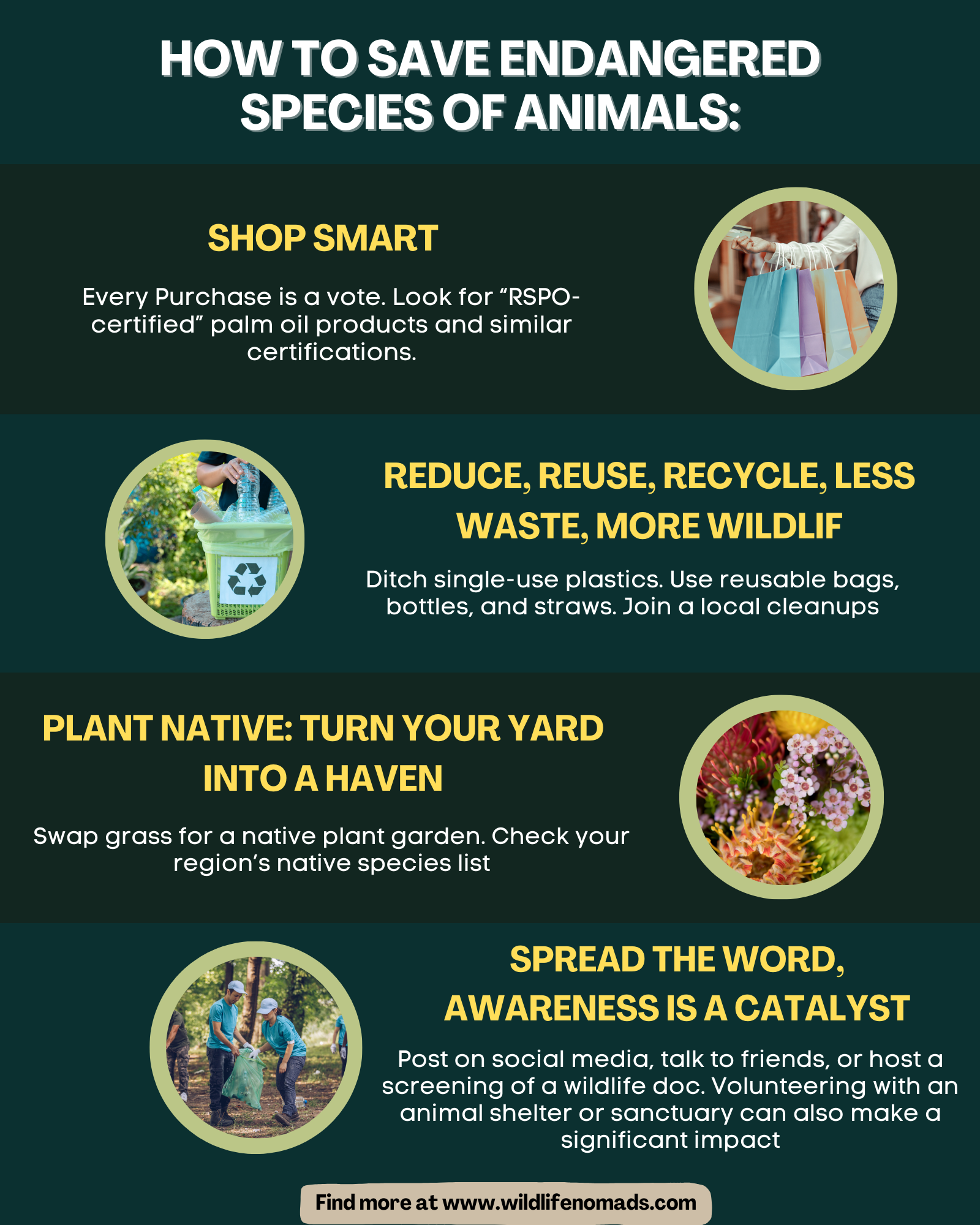  How to Save Endangered Species of Animals | Wildlife Nomads 