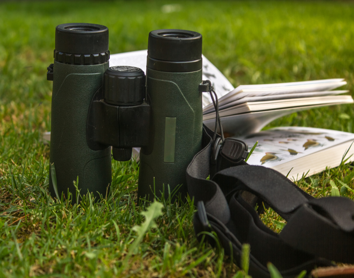 Cristiano Gala a bird field guide and binoculars laying over grass