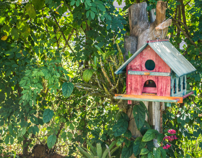 Getty Images a bird house in a backyard