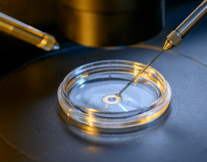 a petri dish with an egg under iVF technology