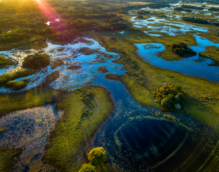 Leo Mercon aerial view of pantanal, brazil showing the mangrooves