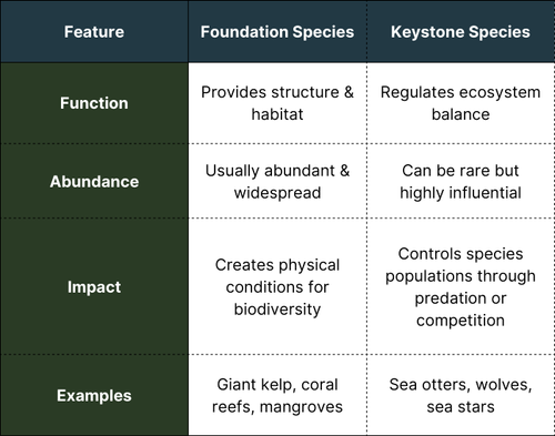 What Is a Foundation Species? Key Examples & Differences — Wildlife Nomads