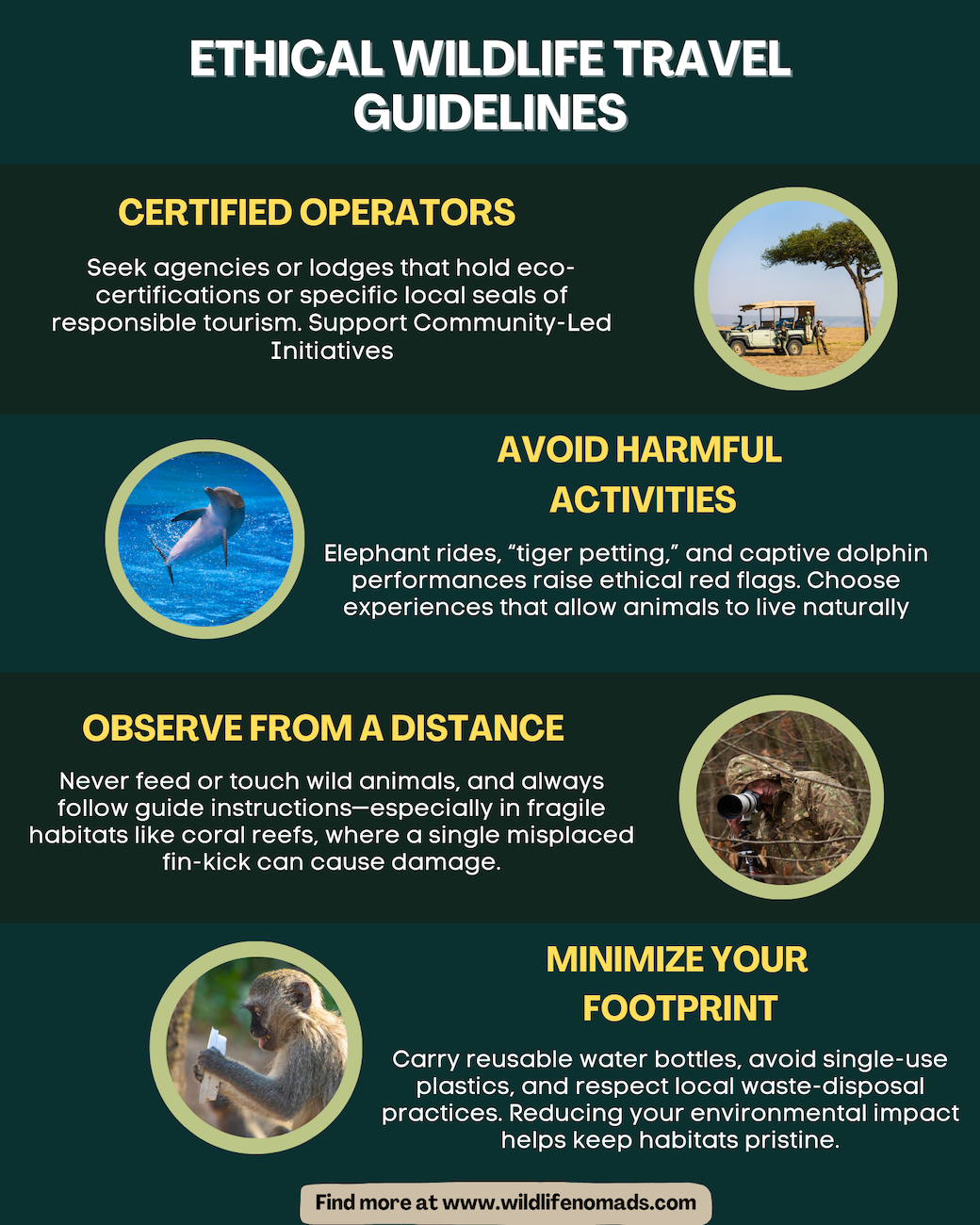 Ethical Wildlife Traveling guidelines | Wildlife Nomads