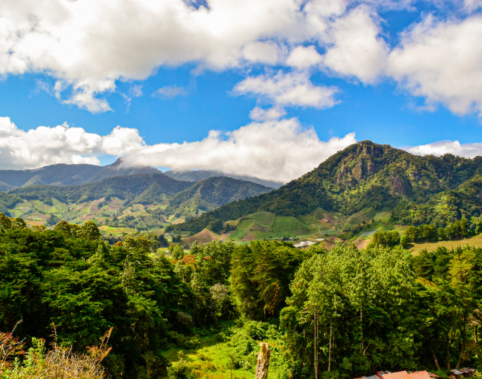 Cesar Aleman panoramic view of Cerro Punta, Chiriqui, Panama