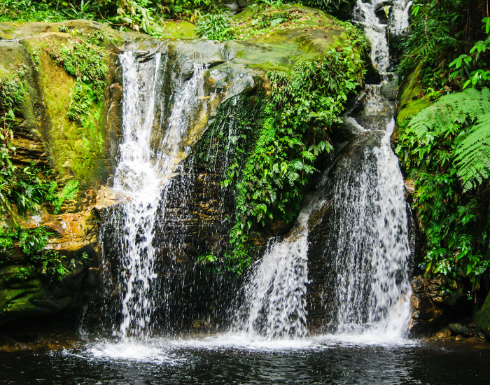 Interior of the Amazon Rainforest showing a small waterfall in the jungle