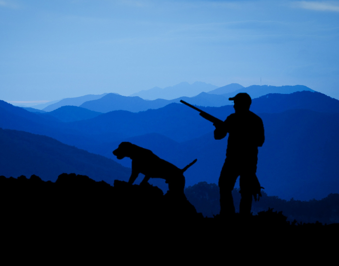 a man holding a rifle at night time with a dog near by