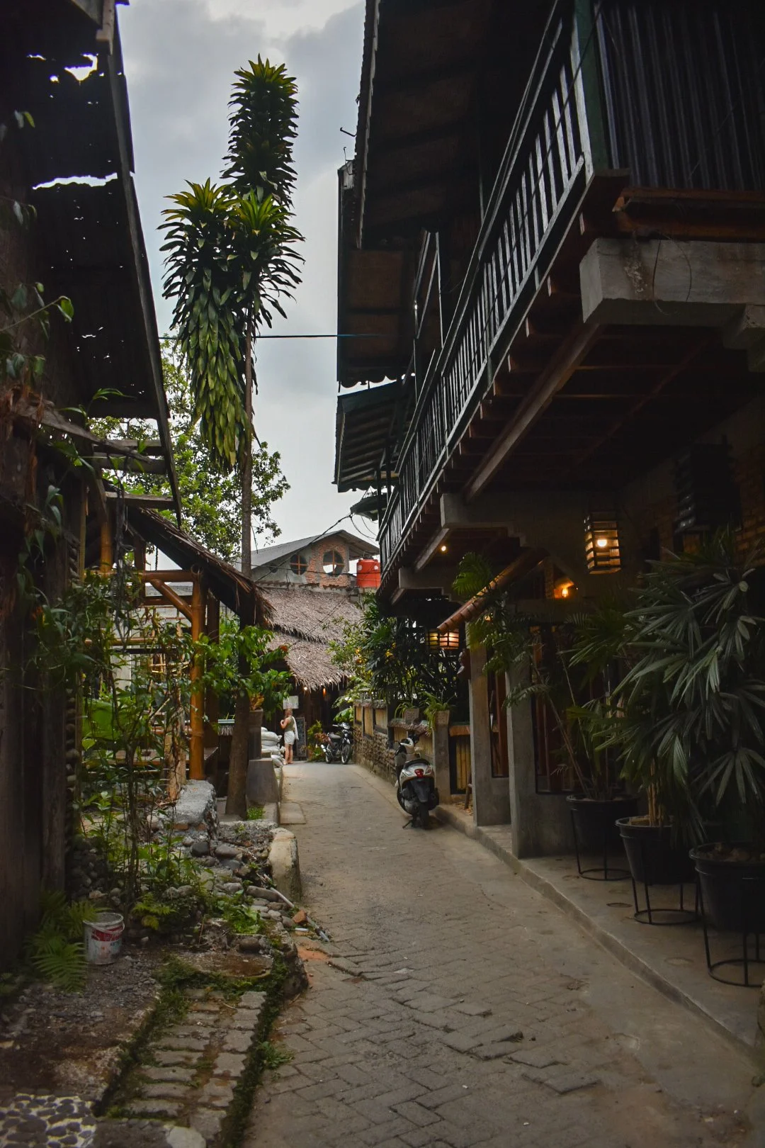 Cesar Medina Davila A narrow and Main Street in Bukit Lawang