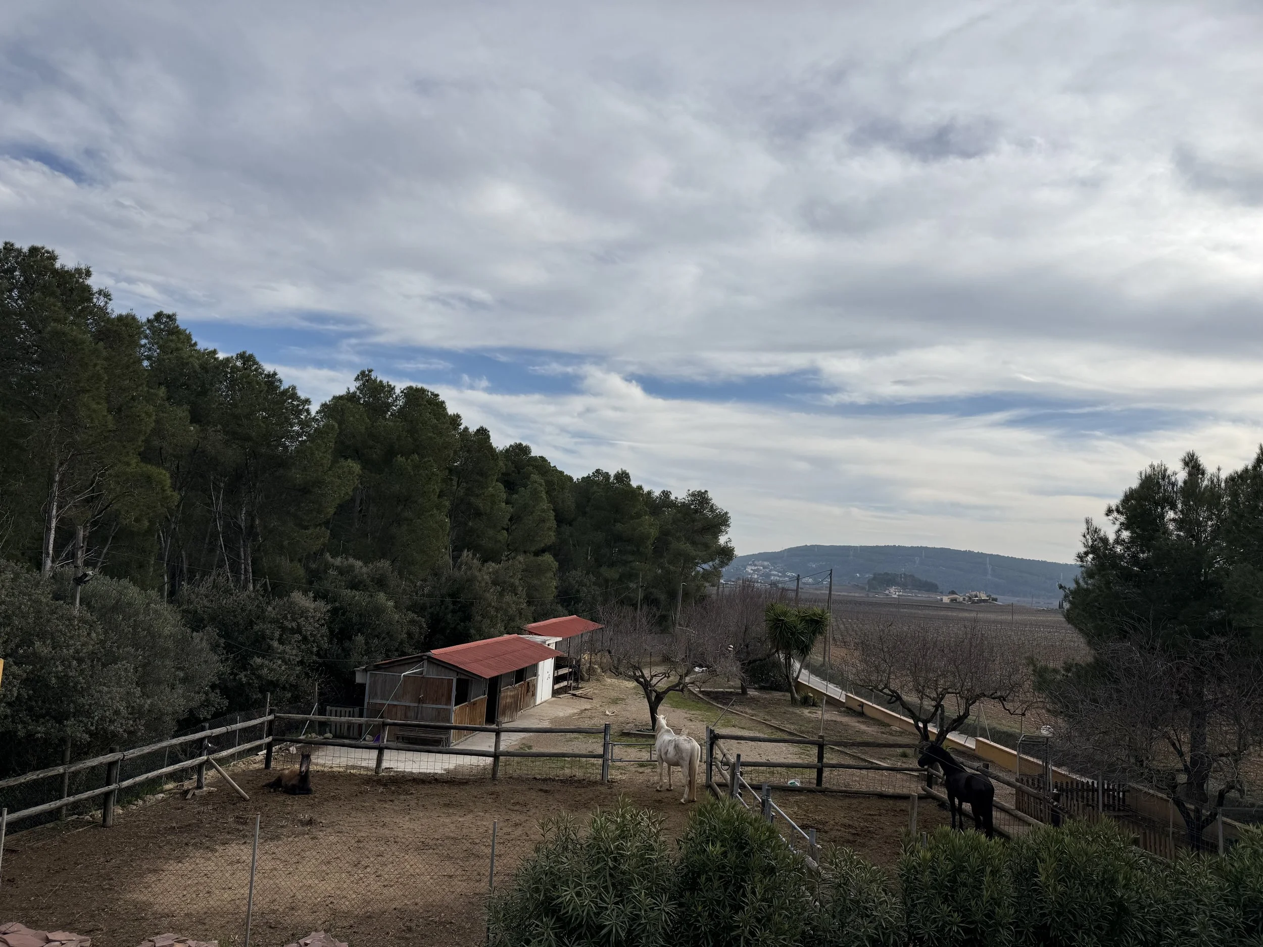 IMG_7063.jpeg