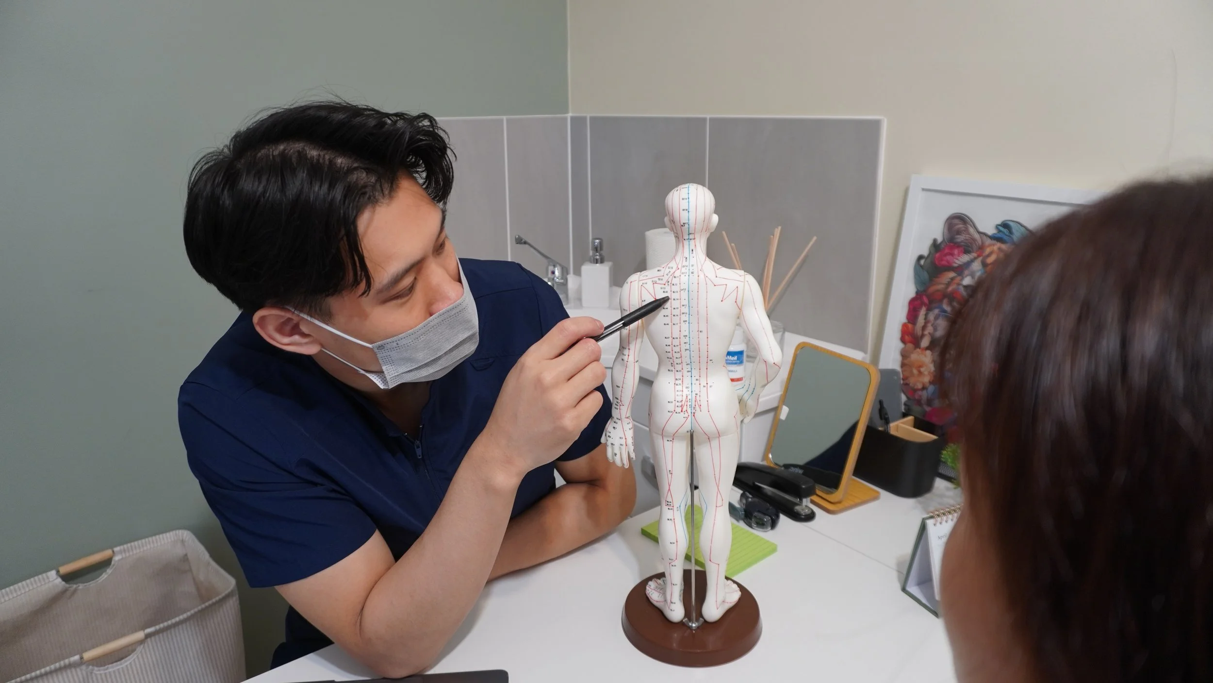 Medical professional in mask explaining acupuncture points on a human anatomical model to a patient.