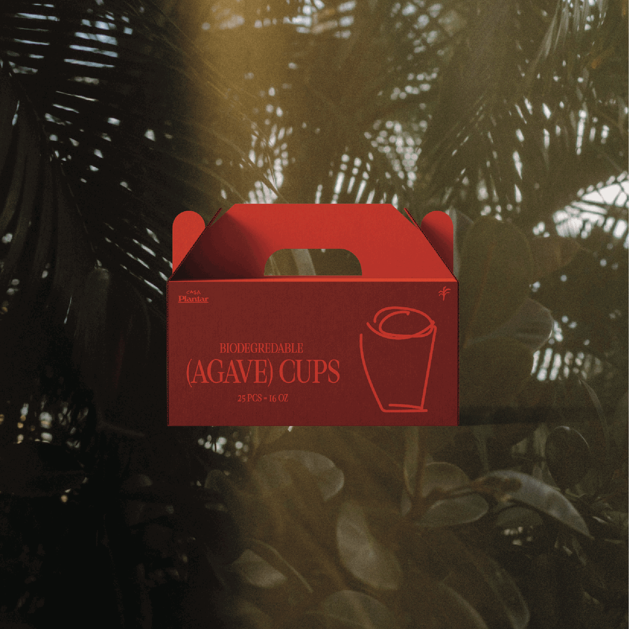 Casa Plantar biodegradable agave cups packaging design — brand marketing by Duo Plus Design, Orlando FL