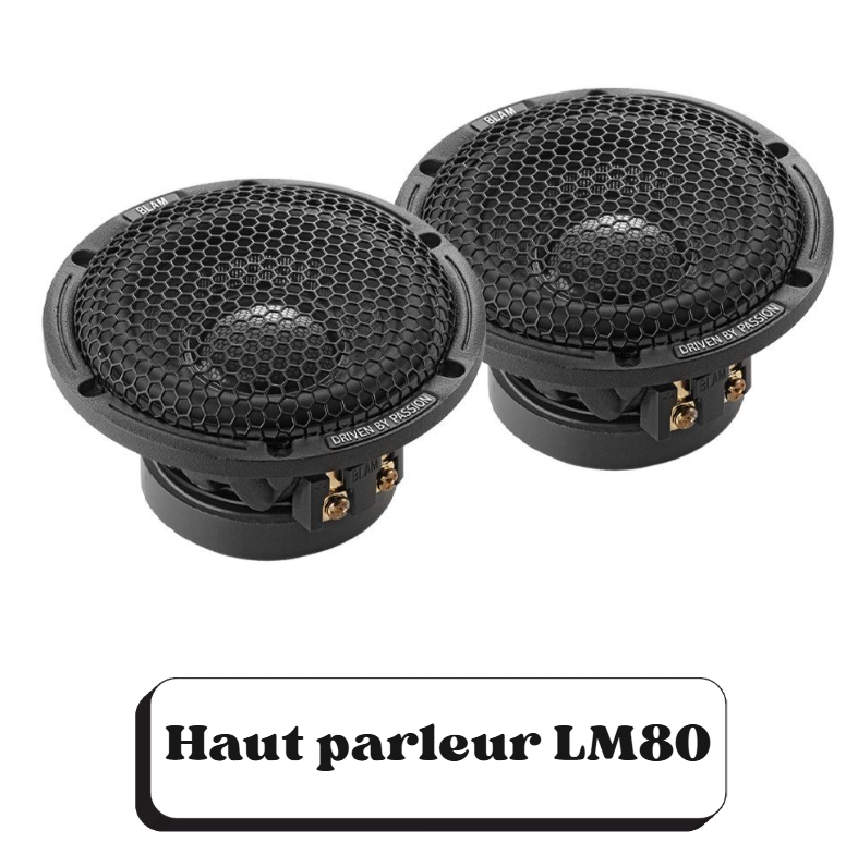 Deux haut-parleurs LM80 noirs avec une grille en métal en forme de nid d'abeille et des bornes en or.