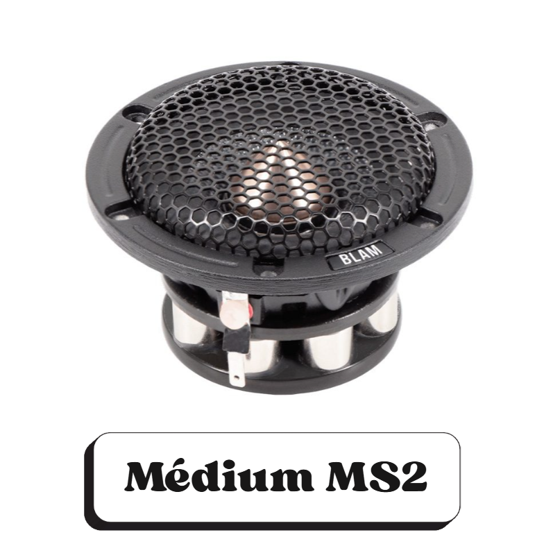 Un haut-parleur de type medium MS2 avec une grille en métal et un étiquetage 'BLAM'.