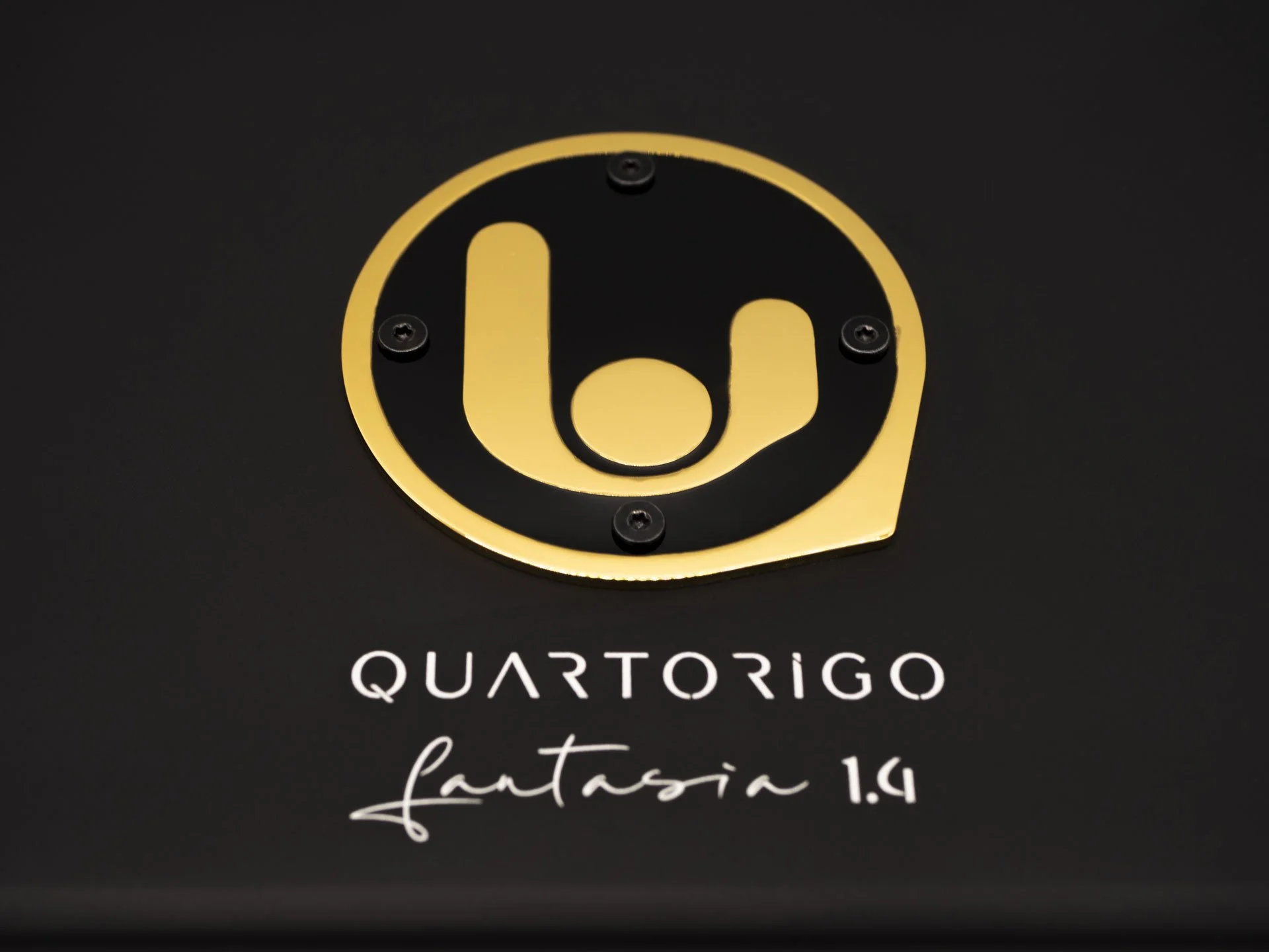 amplificateur-quartorigo-haut-de-gamme-et-haut-parleurs-car-audio-installation-professionnelle