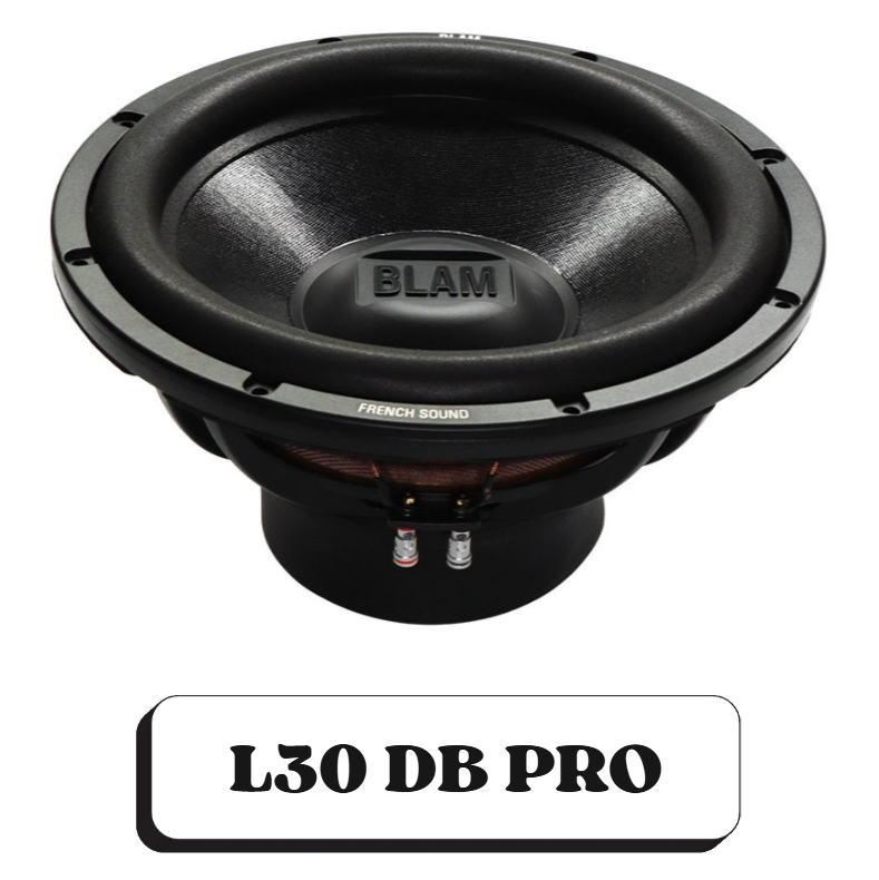 Un haut-parleur de basse de la marque BLAM, modèle L30 DB PRO, avec un design noir et un double bobinage, utilisé dans les systèmes audio.