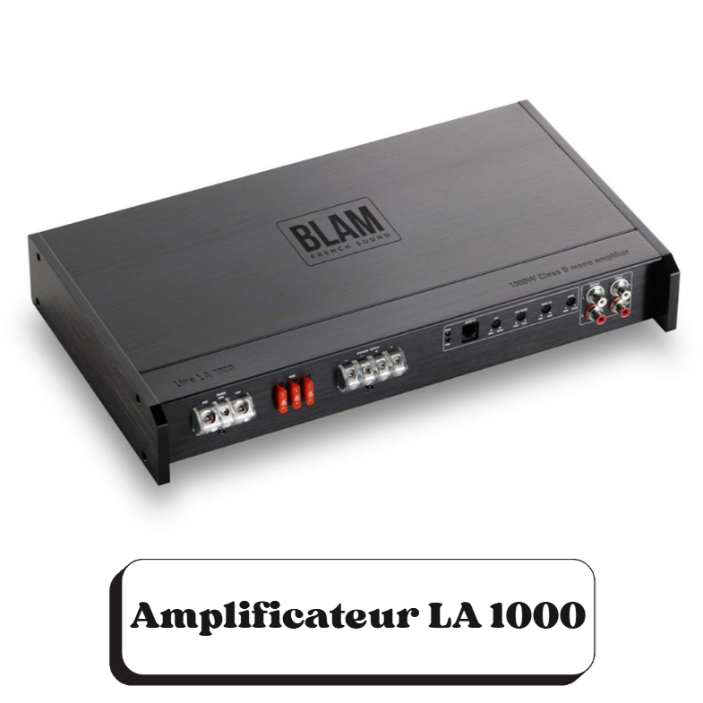 Amplificateur audio noir nommé BLAM avec connexions pour haut-parleurs et contrôles