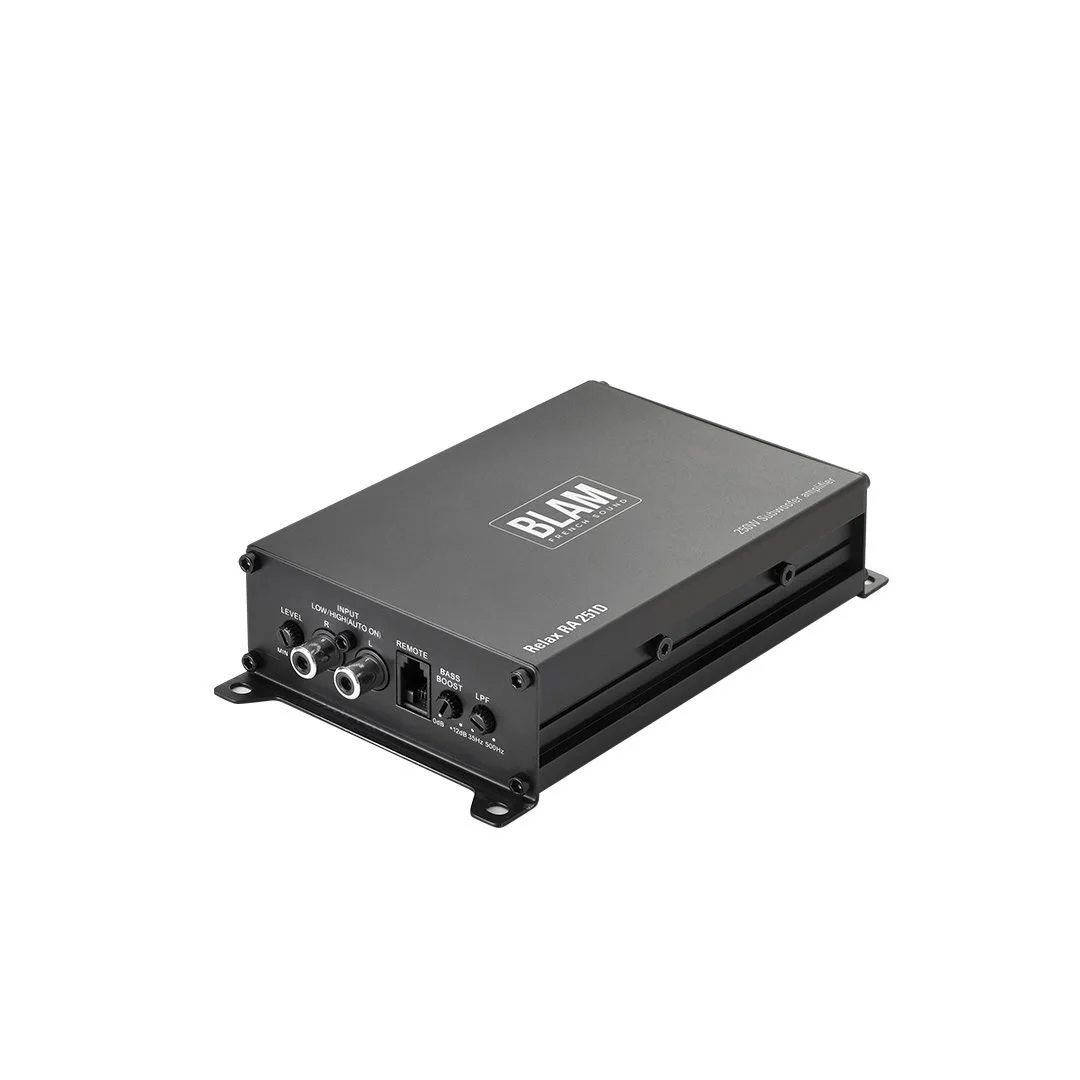 RA251D-2.jpg