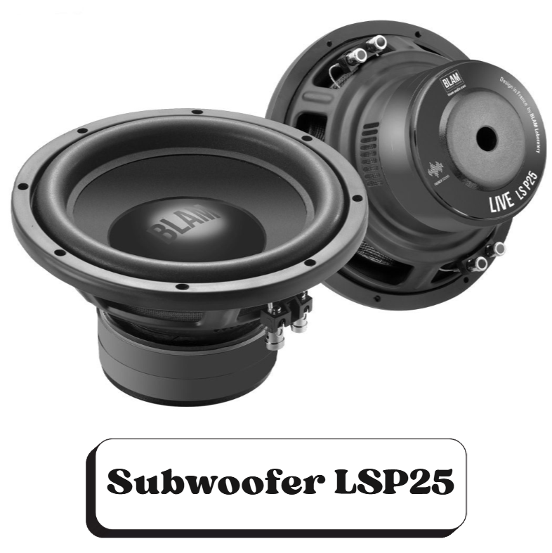 Deux haut-parleurs de subwoofer LSP25 de marque Blam, noirs, avec étiquettes, en position verticale et inclinée, avec texte en bas "Subwoofer LSP25".