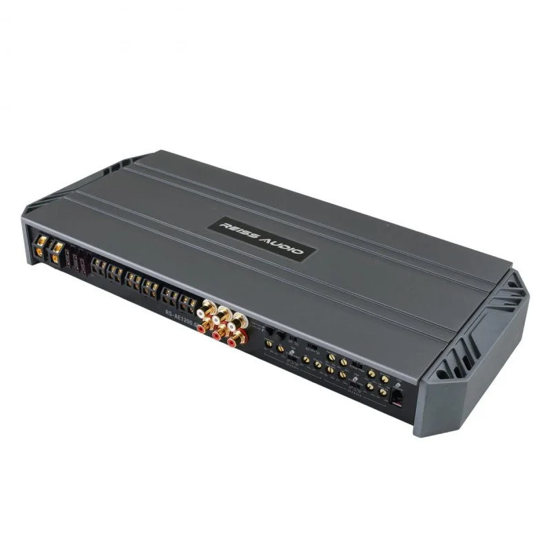 reiss-rs-ae12006d-6x-200-wrms-2-ohm (3).jpg