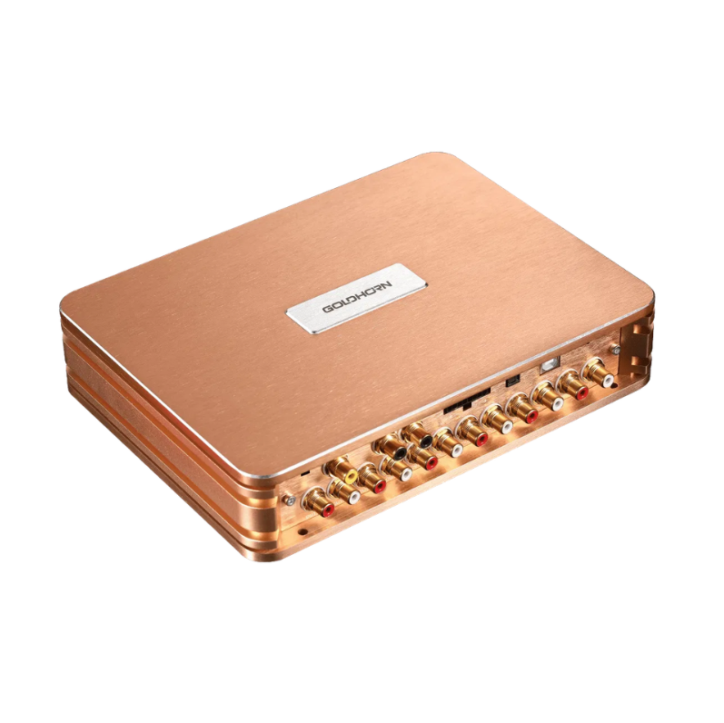 GOLDHORN P2 DSP Pro V2.0