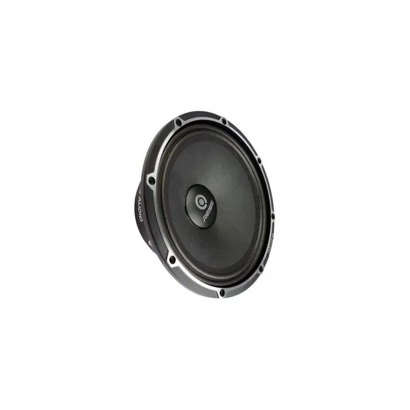 reiss-rs-m10vbpro-25-cm-350-wrms-98-db-32-ohm (1).jpg