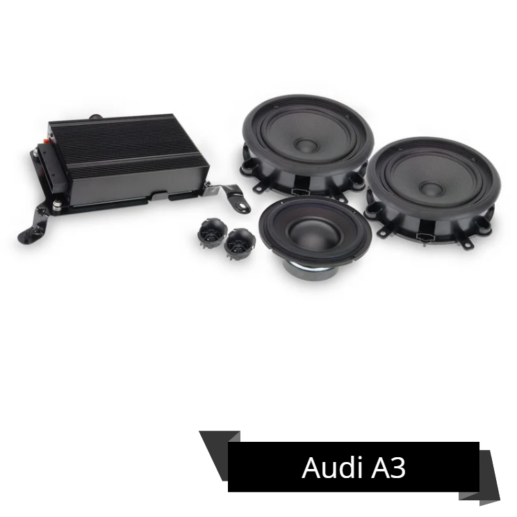 ALPINE SPC-300A3