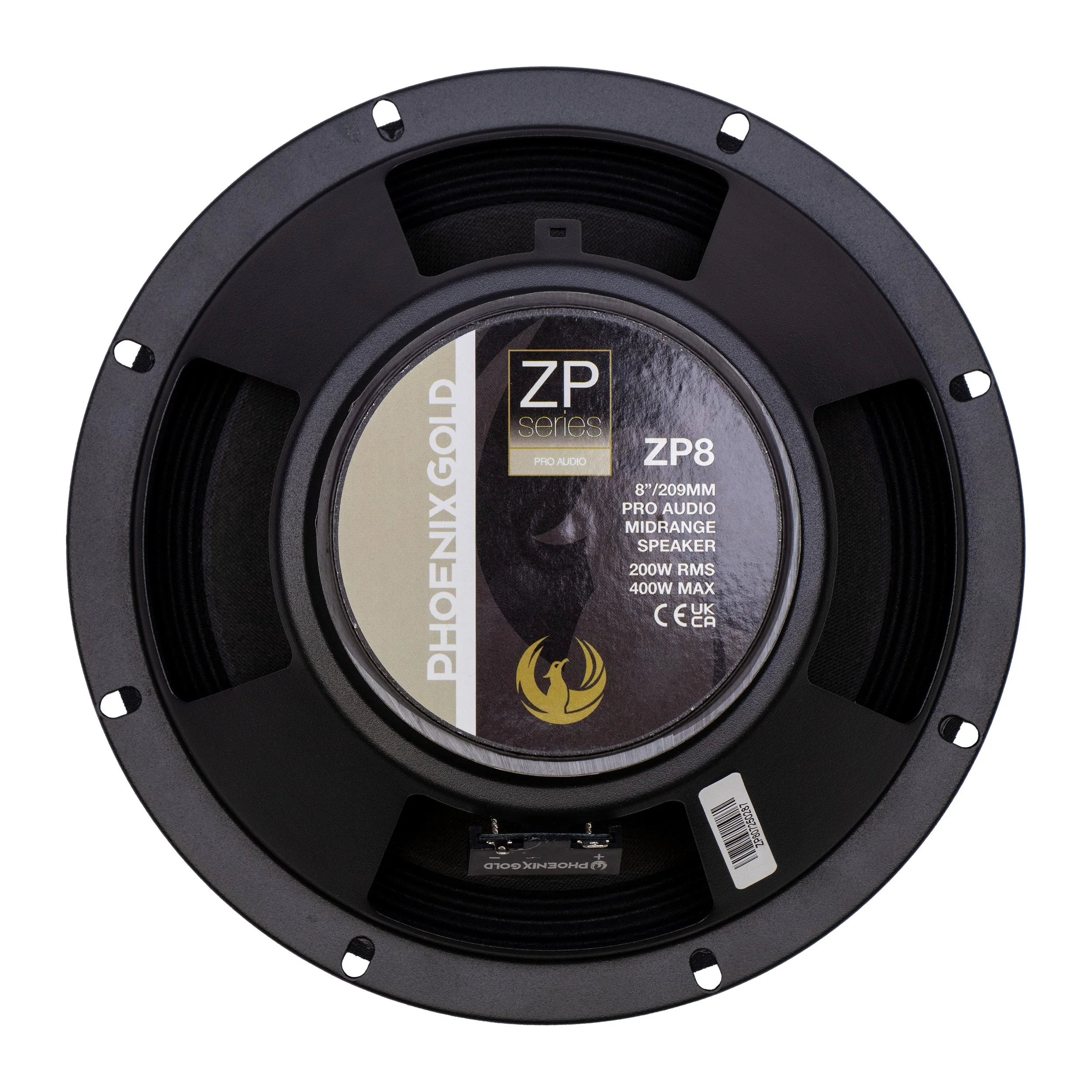 ZP8_03.jpg
