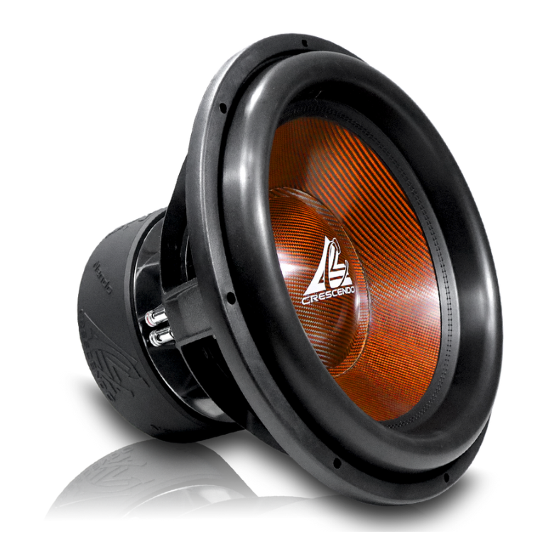 Capture d'écran 2026-02-24 131923.png