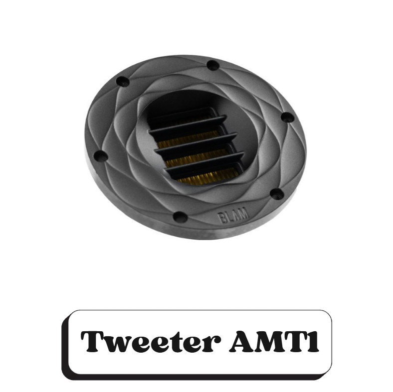 Un diffuseur de fumée noir, rond avec des fines lamelles noires, marqué 'BLAM', destiné à un système de ventilation ou d'échappement.