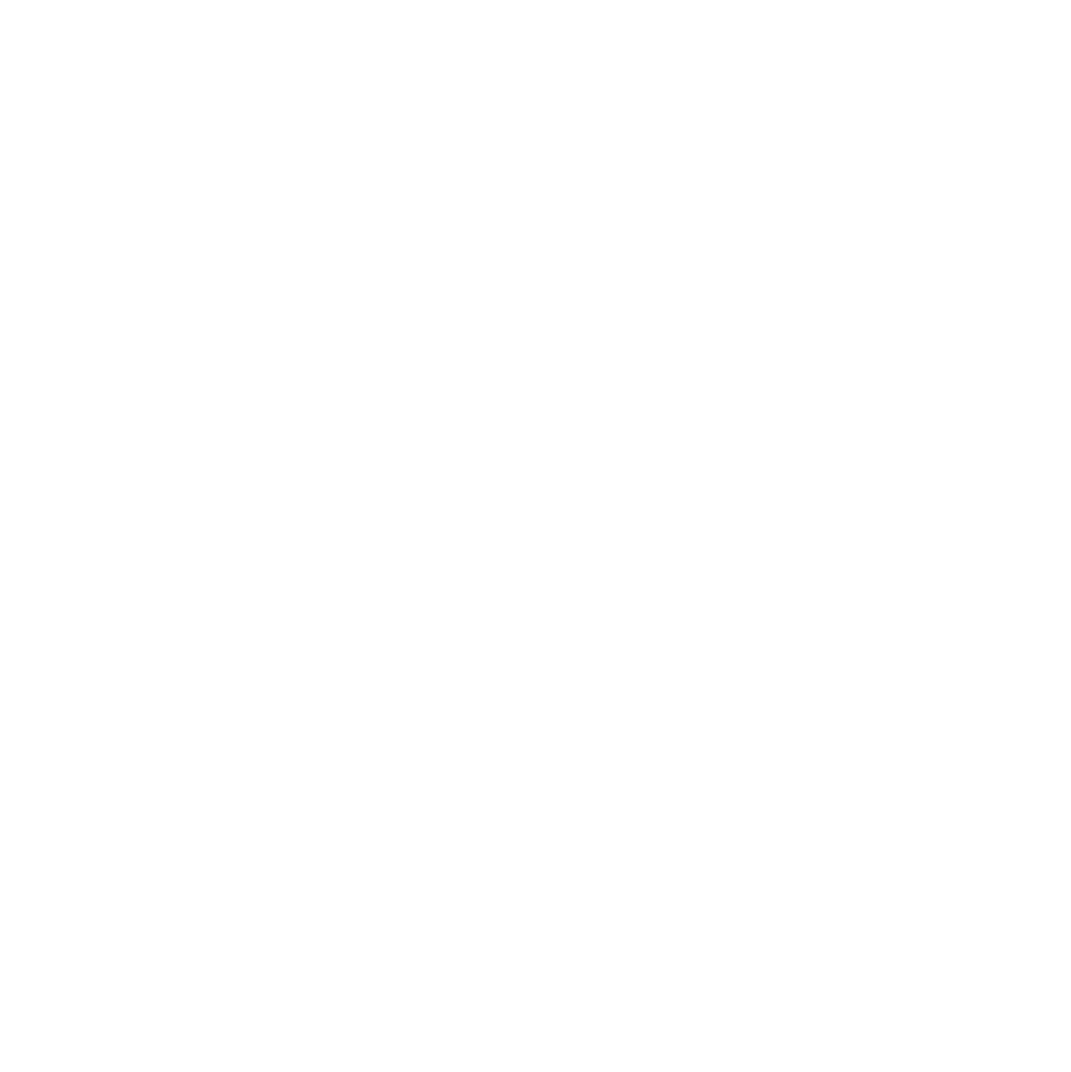 VL CAR AUDIO