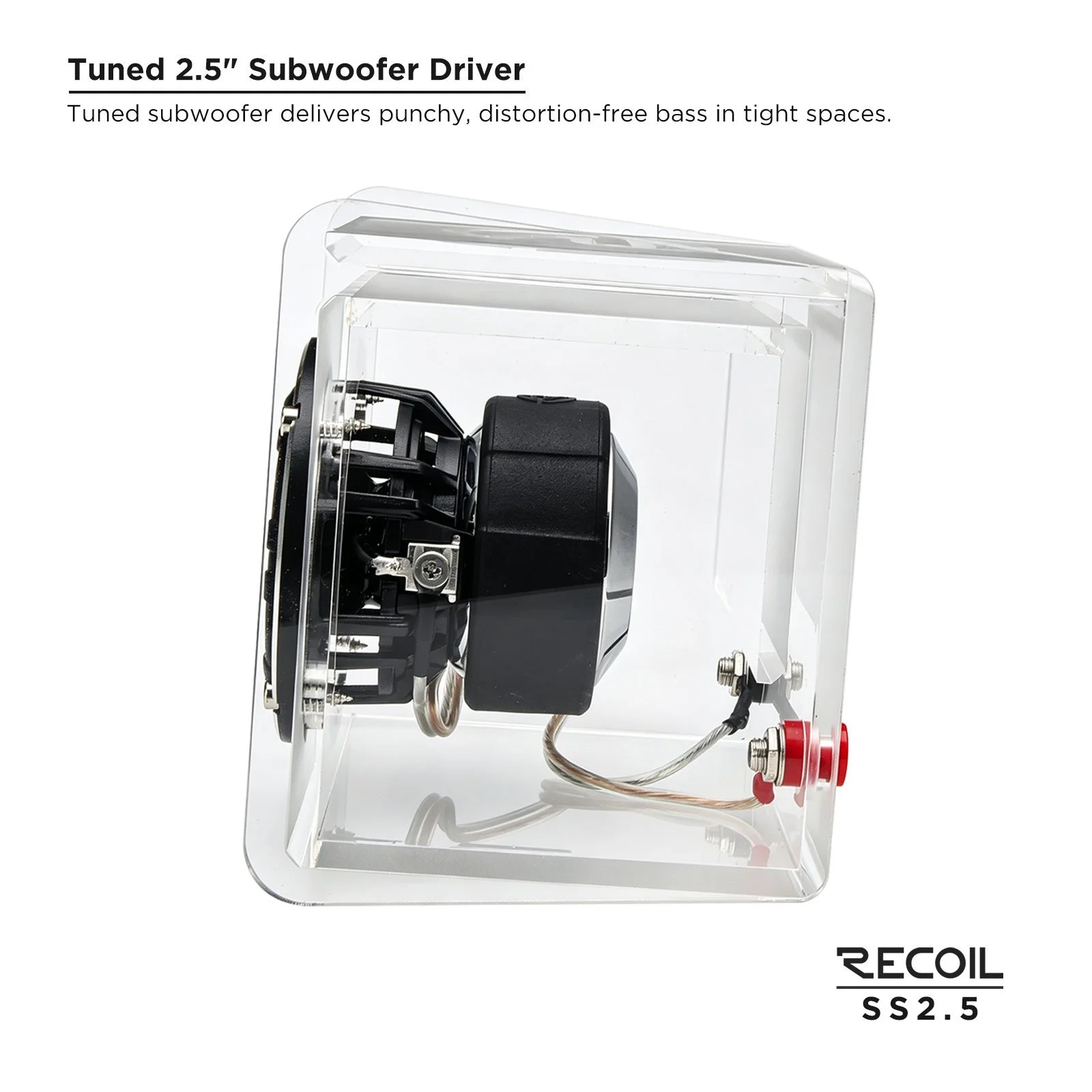 SS2.5-3.jpg