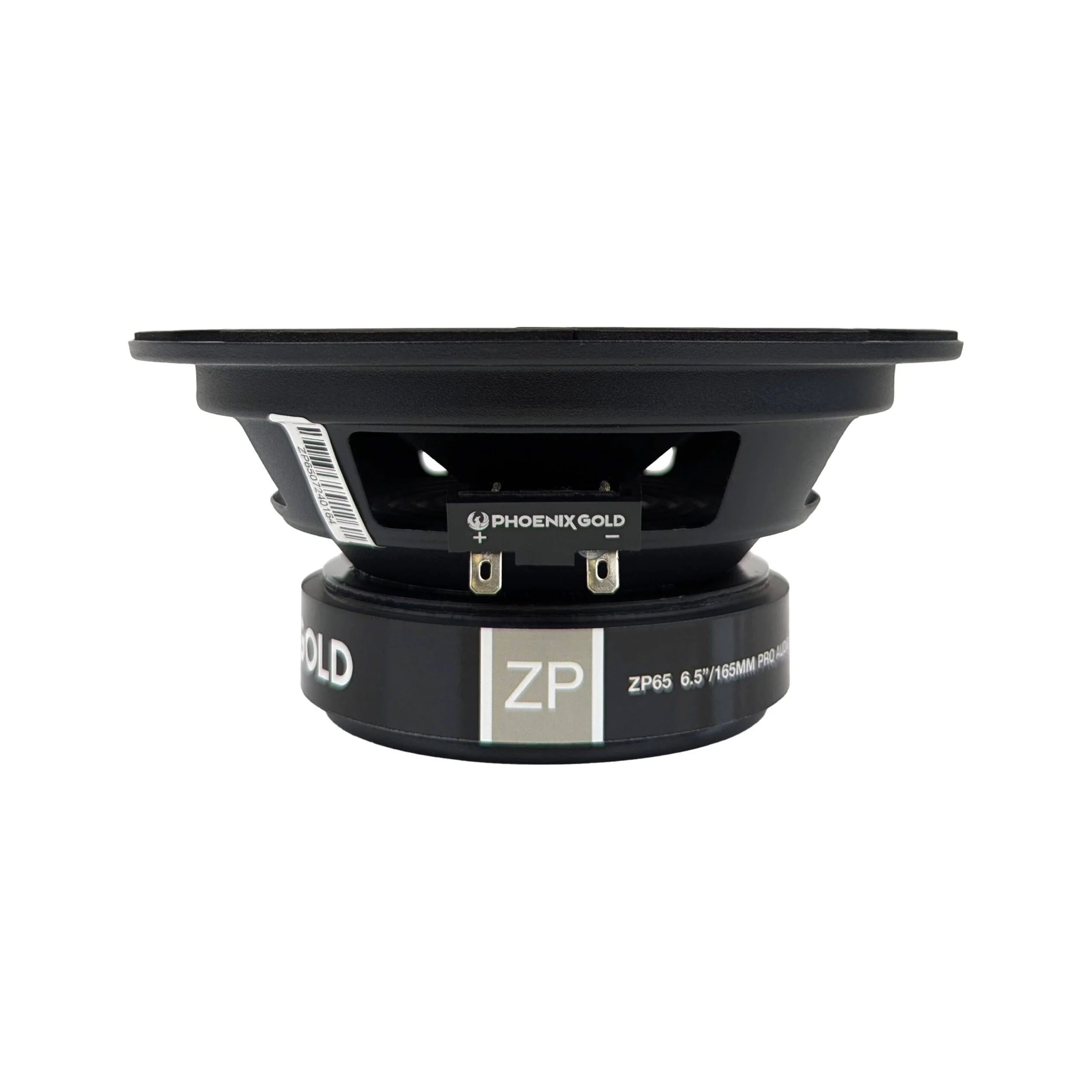 ZP65_07-scaled.jpg