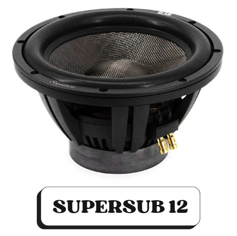 Un haut-parleur rond, noir, de la marque SuperSub 12, utilisé pour audio.