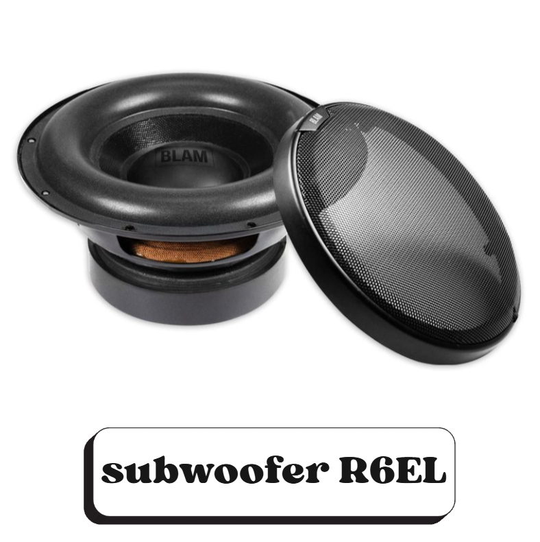 Un haut-parleur de subwoofer R6EL avec une grille protectrice inclinée à côté, et le nom du produit "subwoofer R6EL" écrit en dessous.