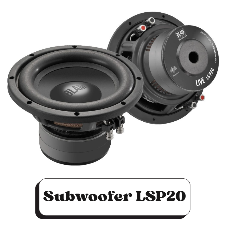 Deux haut-parleurs de subwoofer LSP20 de la marque BLAM, un vu de face et un autre orienté vers l'arrière, avec des câbles et connexions visibles.