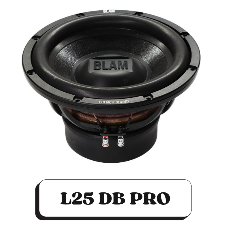 Un haut-parleur audio de marque BLAM, modèle L25 DB PRO, pour systèmes audio.
