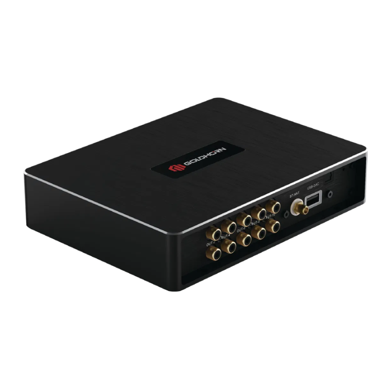GOLDHORN P1 DSP