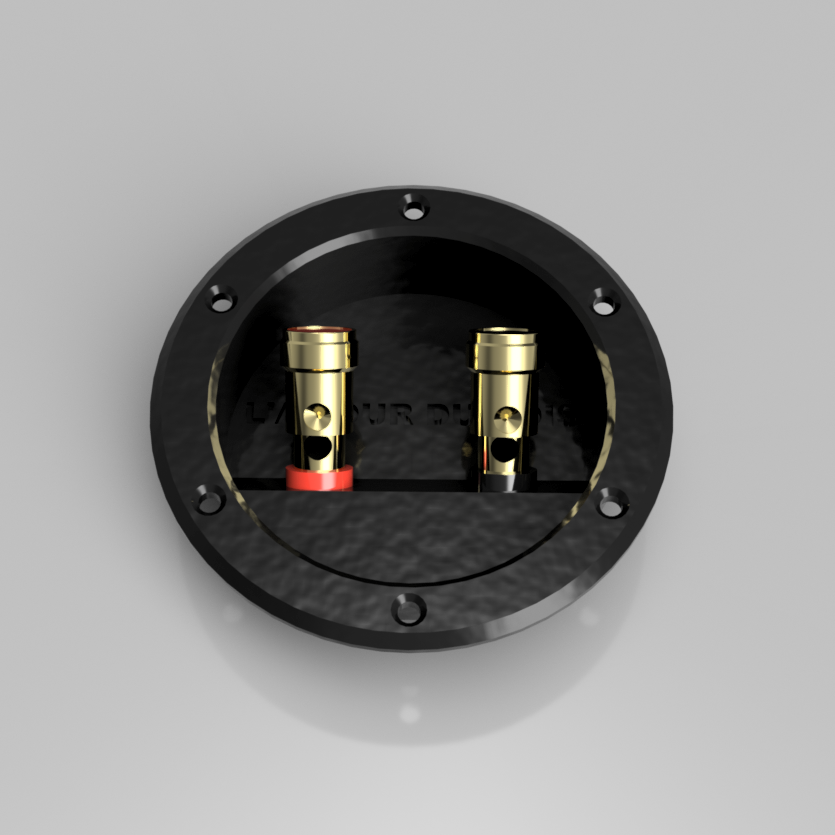 Prise audio avec deux connecteurs bananes, fixée sur un mur gris.